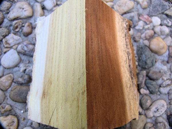 Dřevo moruše