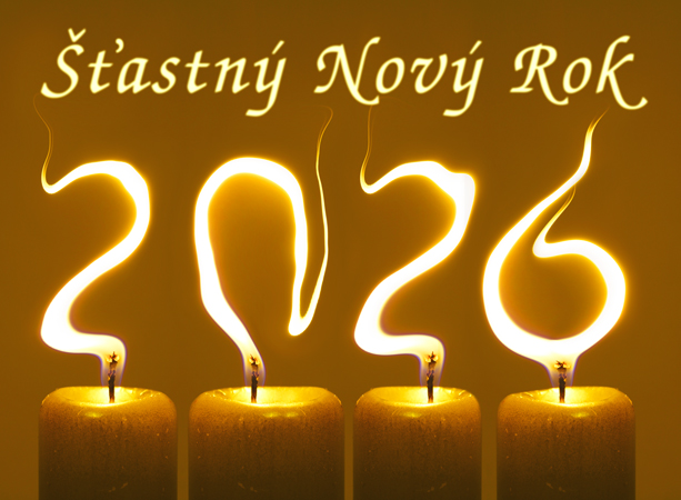 Novoročenka pf 2026 Šťastný Nový Rok 2026