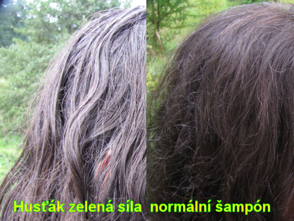  sampon-hustak-vlasy